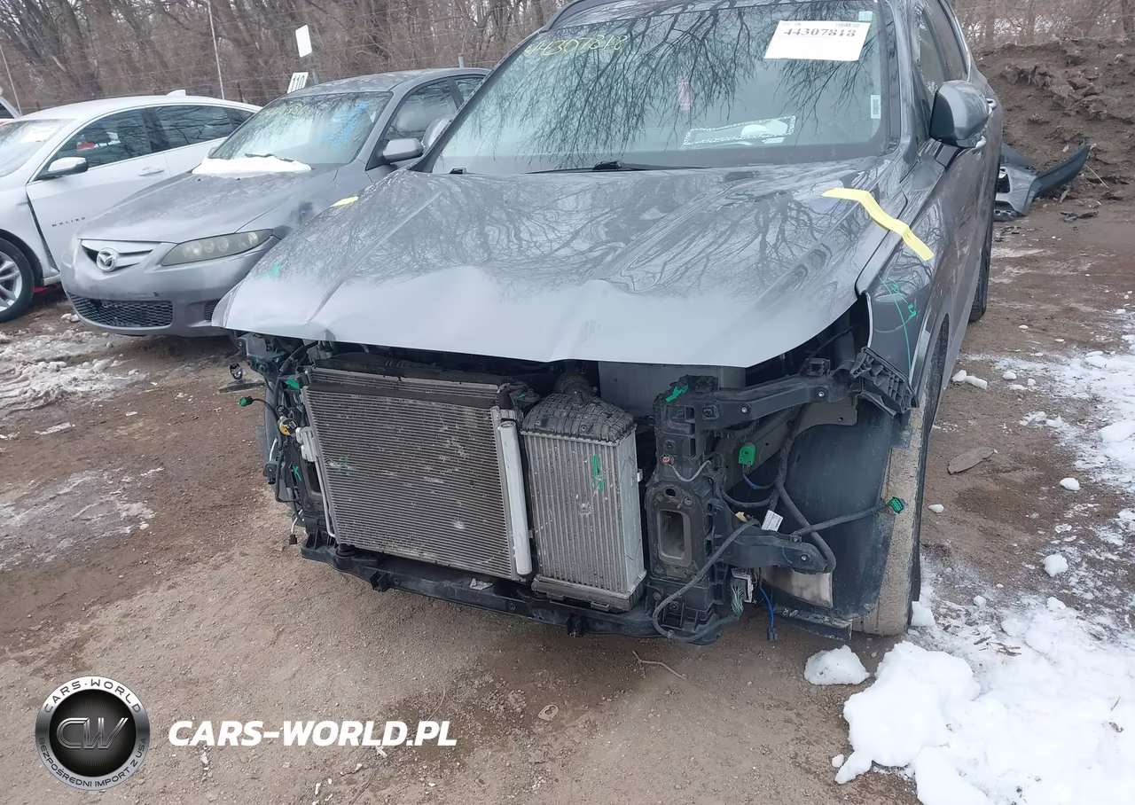 2019 Hyundai Santa Fe Ultimate 2.0T VIN:5NMS5CAA1KH076302 - 6