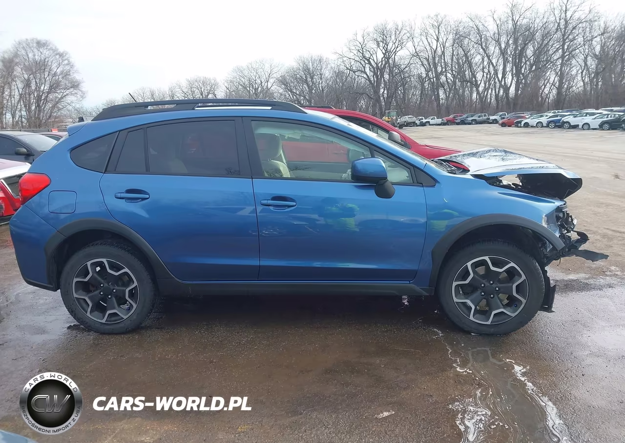 2014 Subaru Xv Crosstrek 2.0I Premium VIN:JF2GPACC0E9342476 - 13
