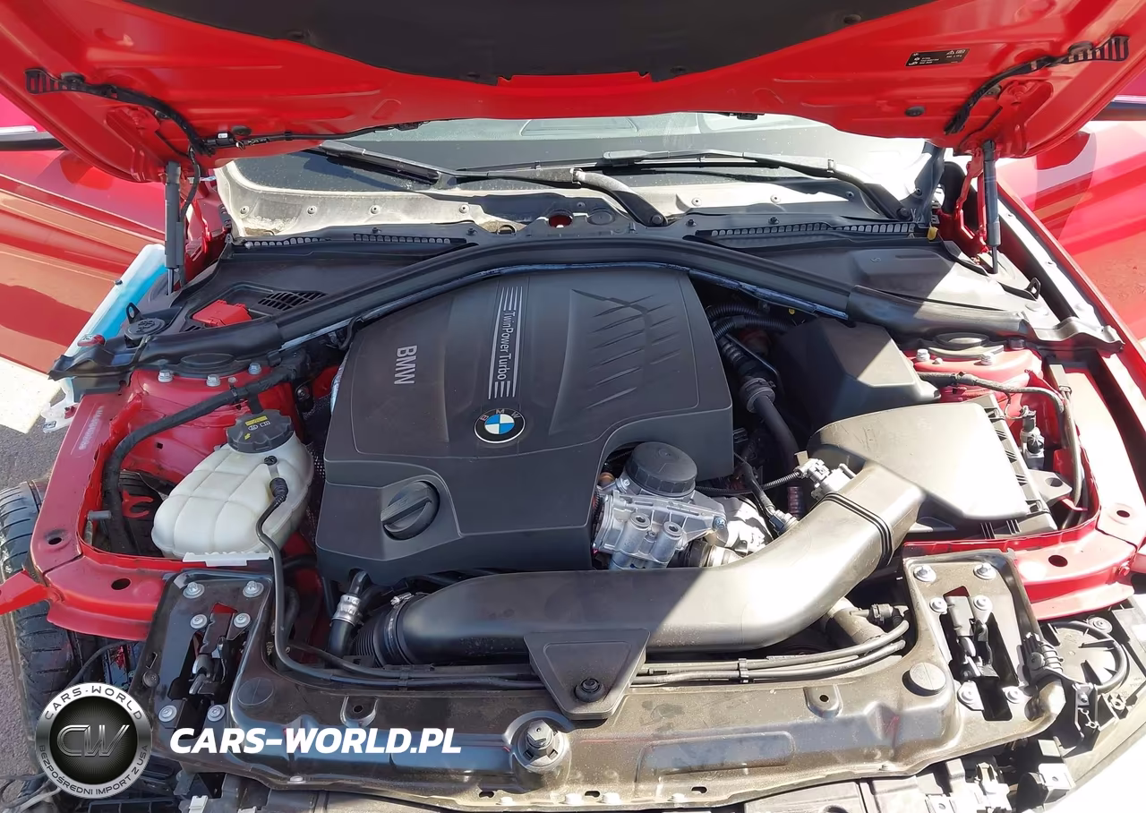 2016 BMW 435I Gran Coupe VIN:WBA4B1C51GG242495 - 10