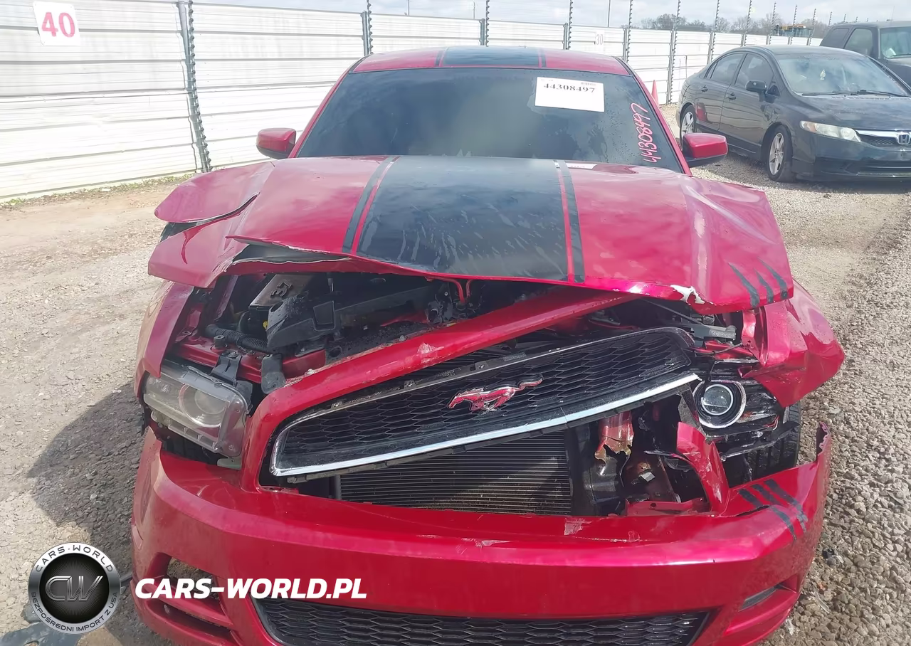 2013 Ford Mustang V6 Premium VIN:1ZVBP8AM8D5252511 - 12