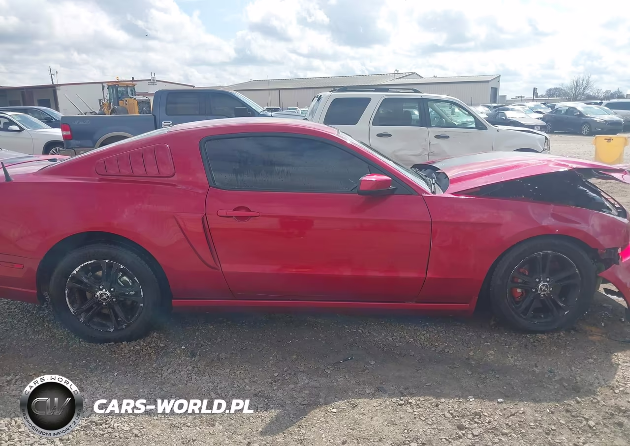 2013 Ford Mustang V6 Premium VIN:1ZVBP8AM8D5252511 - 13