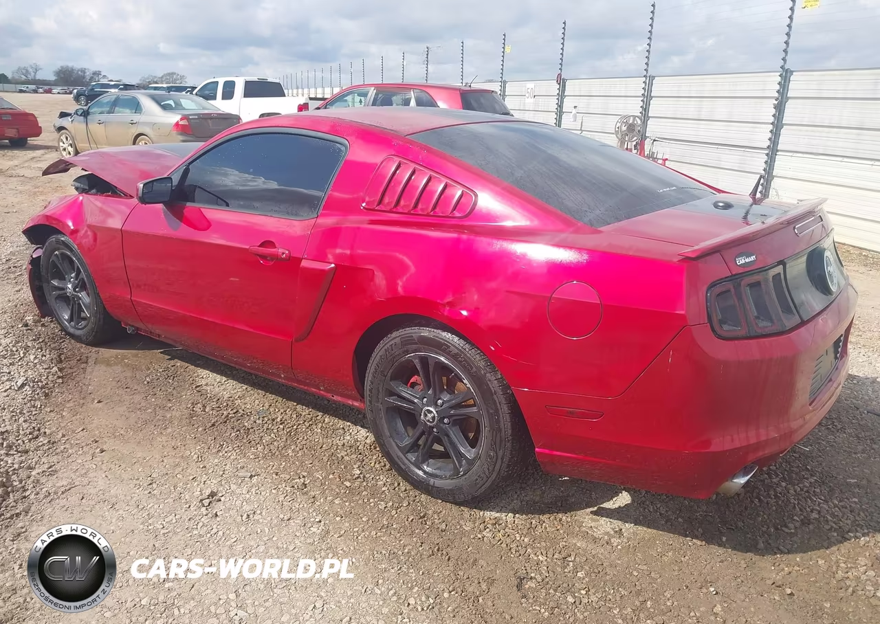2013 Ford Mustang V6 Premium VIN:1ZVBP8AM8D5252511 - 3