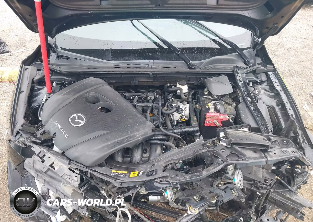 2019 Mazda Mazda3 VIN:JM1BPAJM1K1142771 - 10