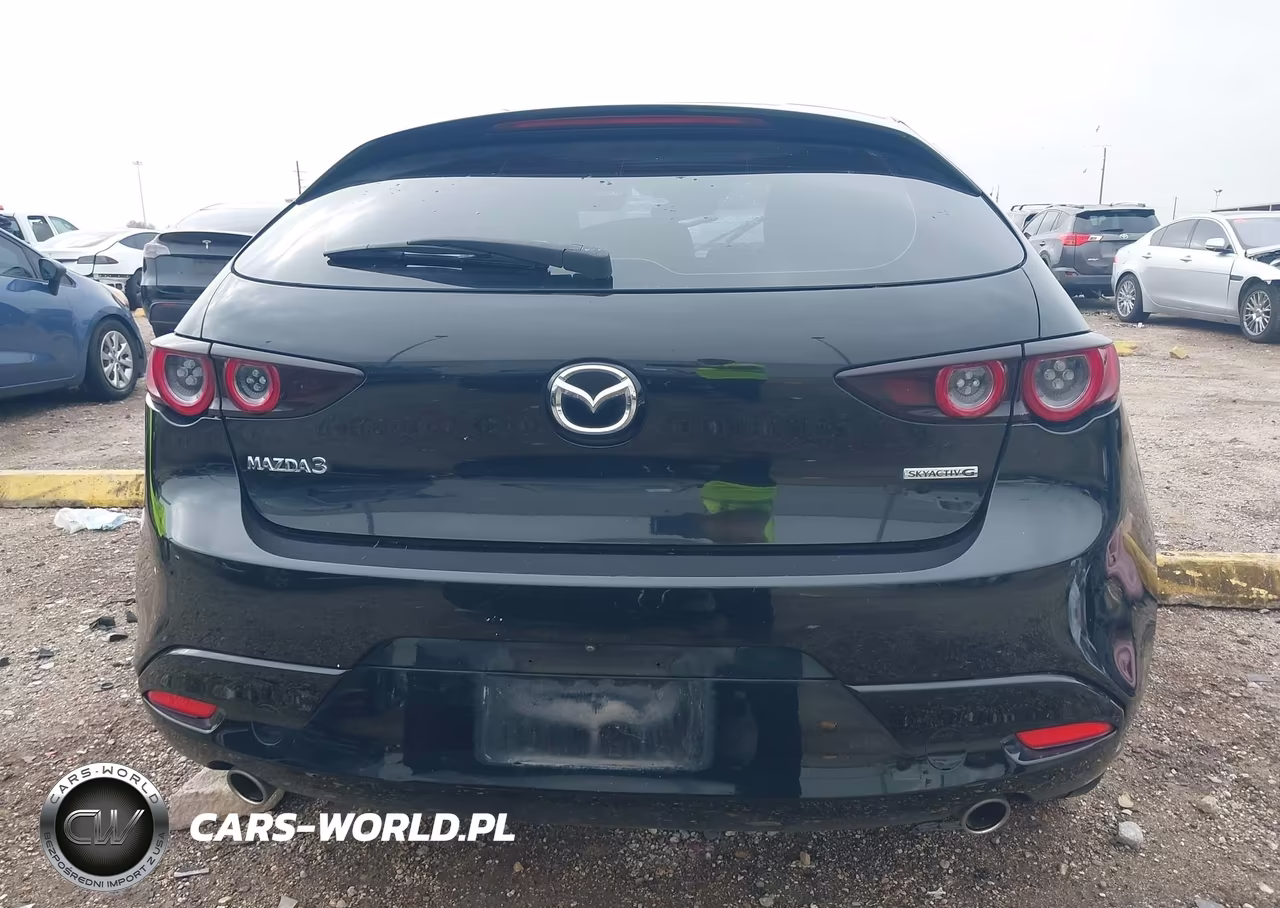 2019 Mazda Mazda3 VIN:JM1BPAJM1K1142771 - 17