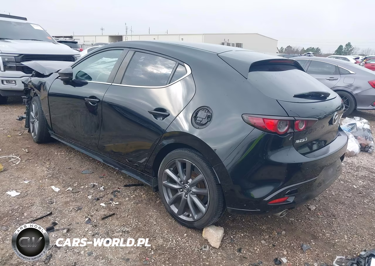 2019 Mazda Mazda3 VIN:JM1BPAJM1K1142771 - 3