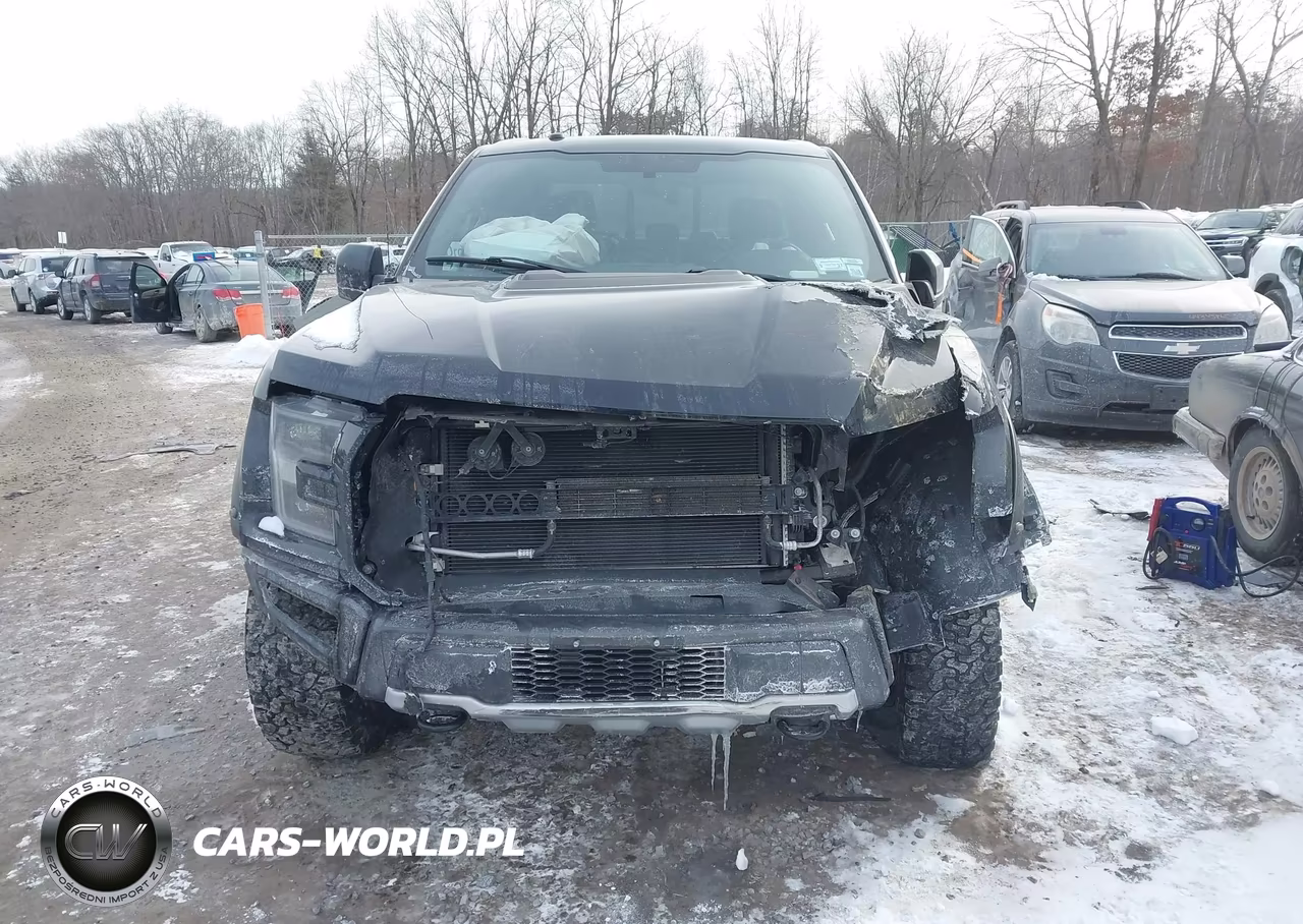 2018 Ford F-150 Raptor VIN:1FTFW1RG1JFC90939 - 11