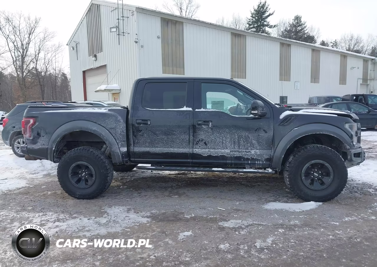 2018 Ford F-150 Raptor VIN:1FTFW1RG1JFC90939 - 12