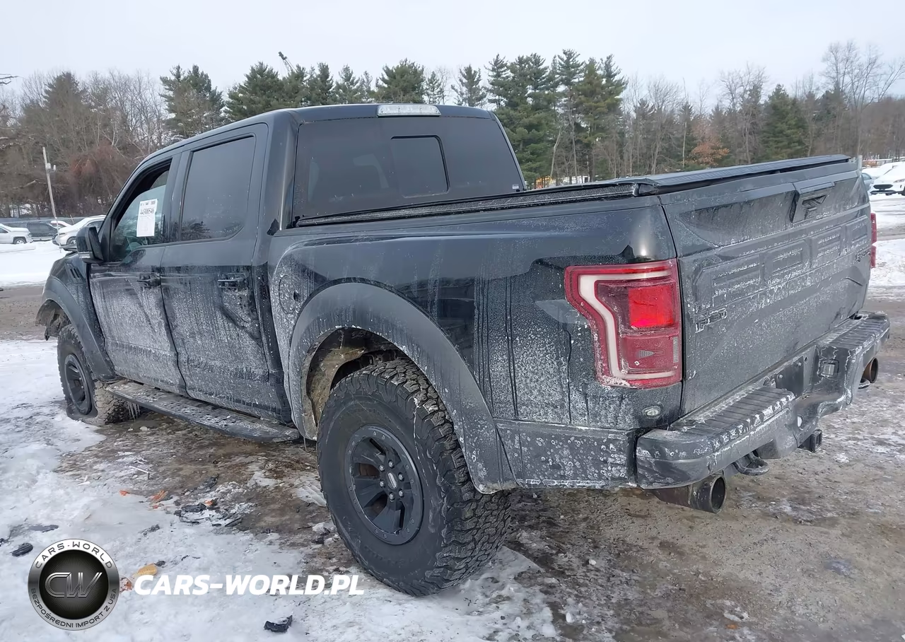 2018 Ford F-150 Raptor VIN:1FTFW1RG1JFC90939 - 13