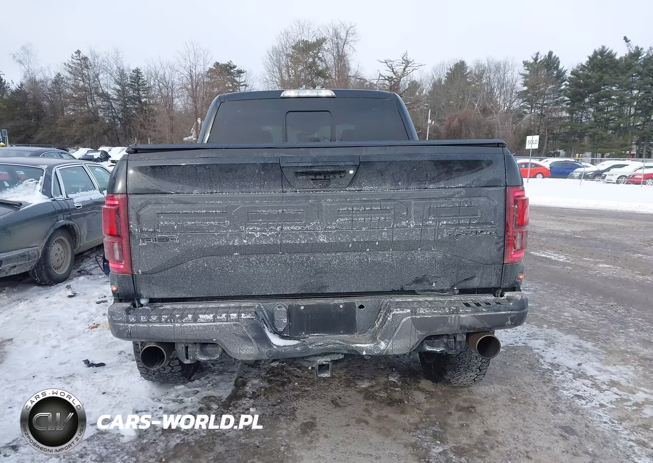 2018 Ford F-150 Raptor VIN:1FTFW1RG1JFC90939 - 15