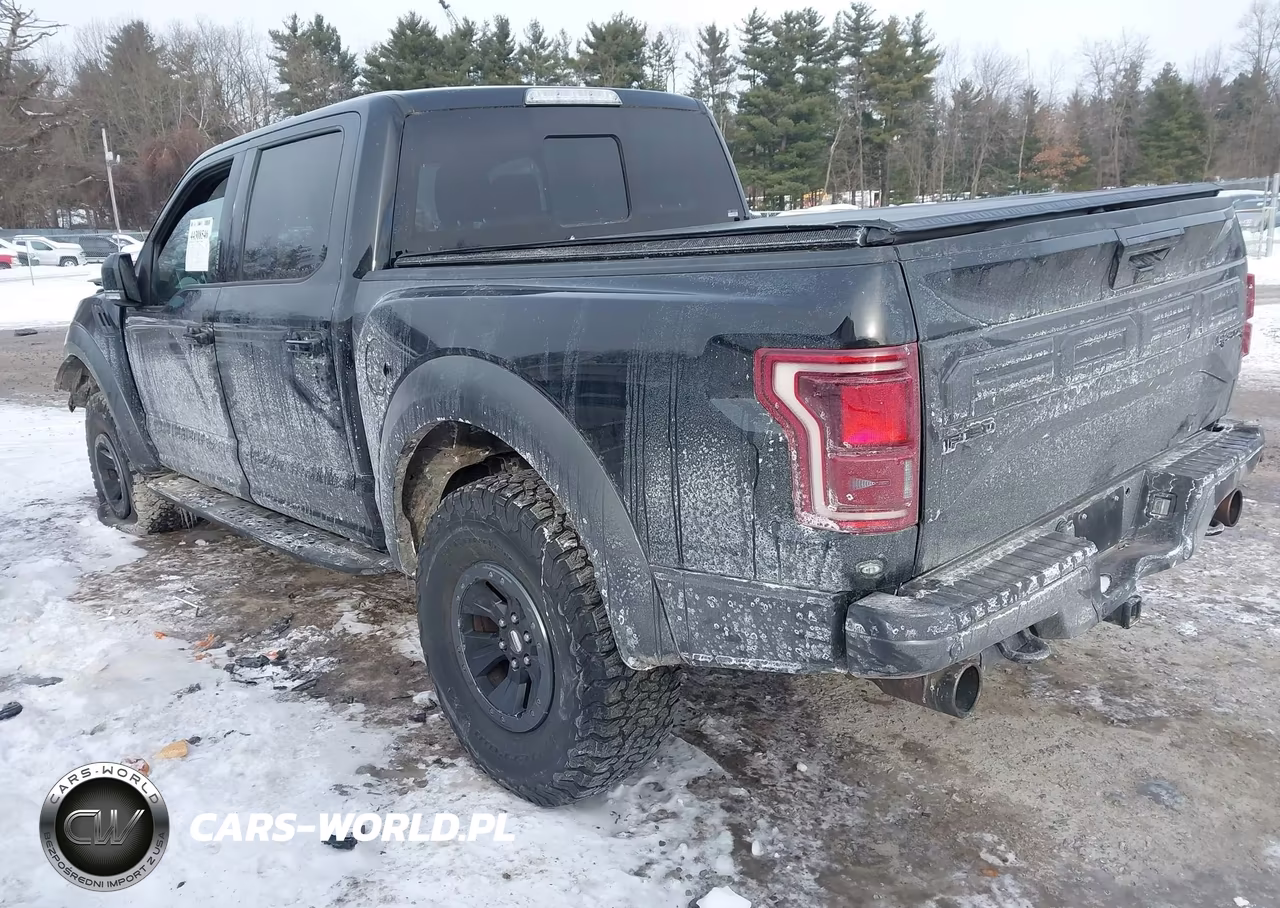 2018 Ford F-150 Raptor VIN:1FTFW1RG1JFC90939 - 3