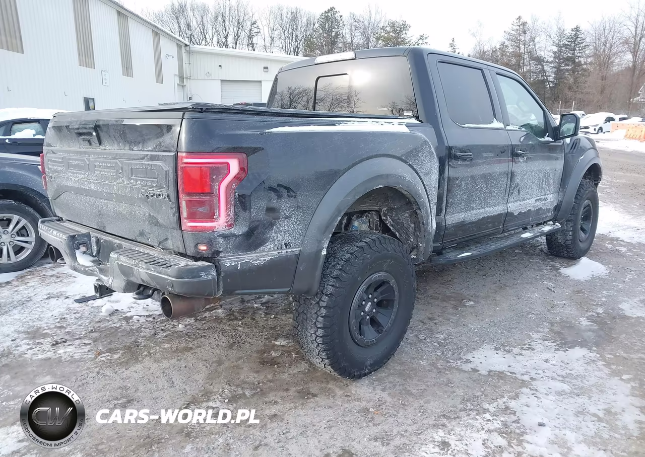 2018 Ford F-150 Raptor VIN:1FTFW1RG1JFC90939 - 4