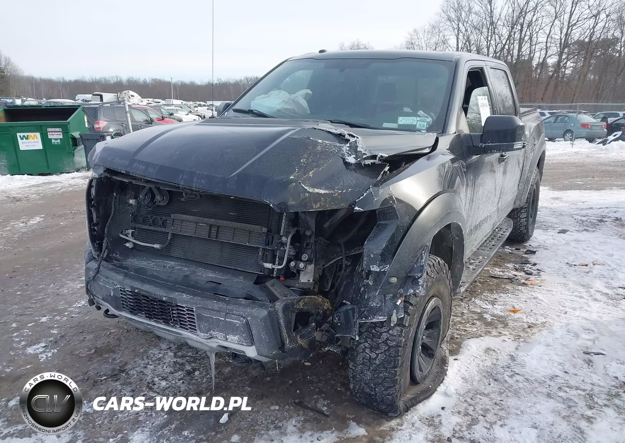 2018 Ford F-150 Raptor VIN:1FTFW1RG1JFC90939 - 6