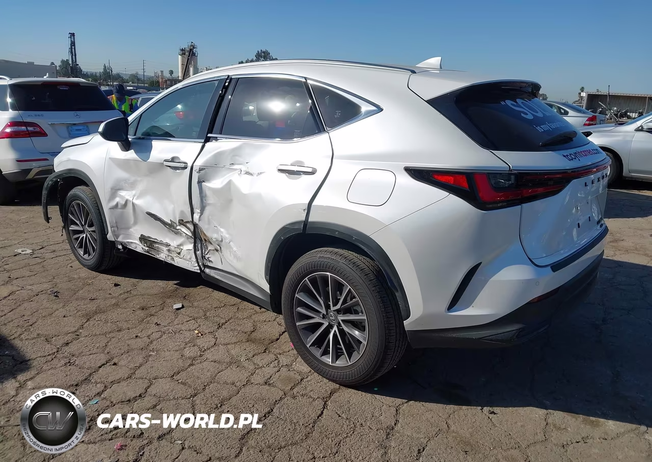 2025 Lexus Nx 350H Premium VIN:JTJGKCEZ4S5032941 - 3
