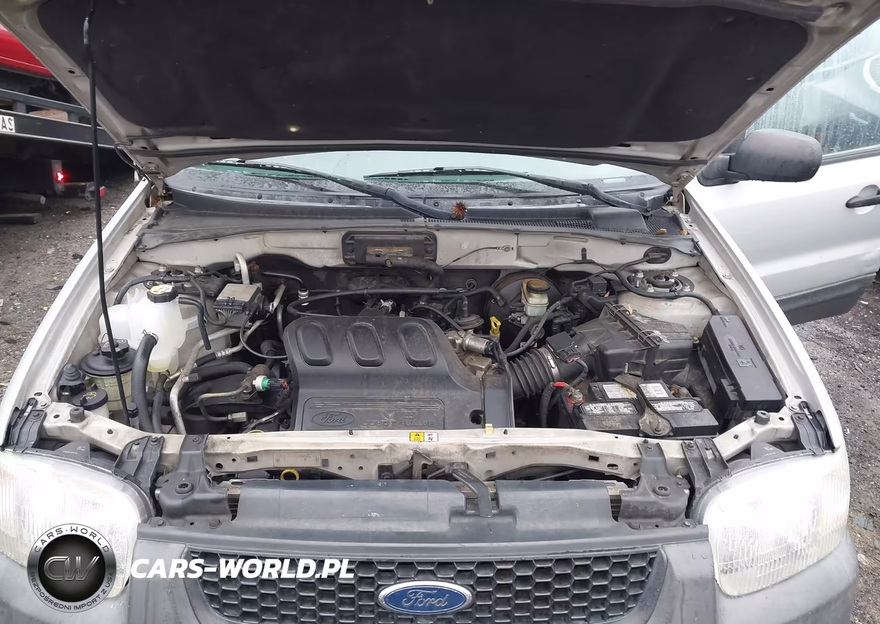 2004 Ford Escape Xls VIN:1FMYU02154KB68235 - 10
