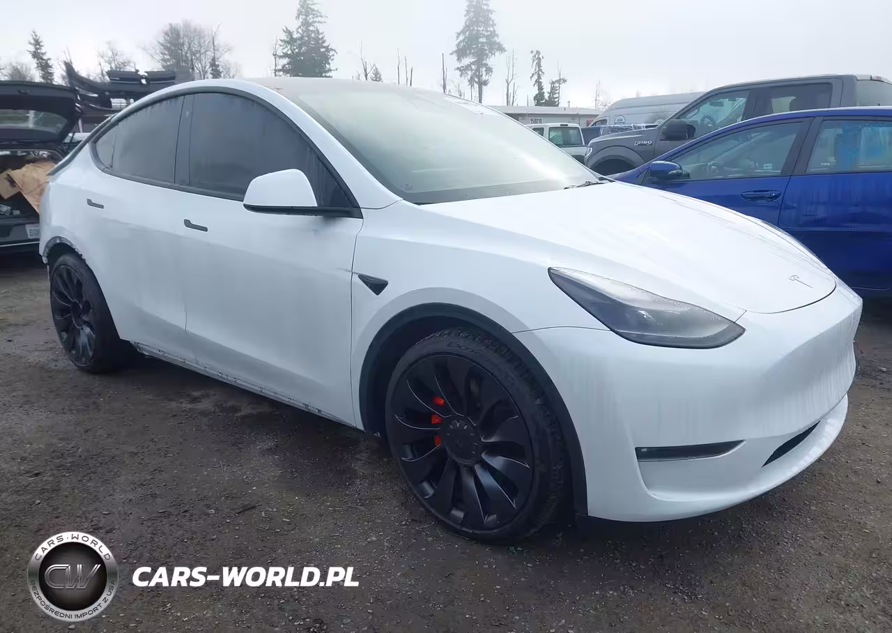 2023 Tesla Model Y Performance Dual Motor All-Wheel Drive