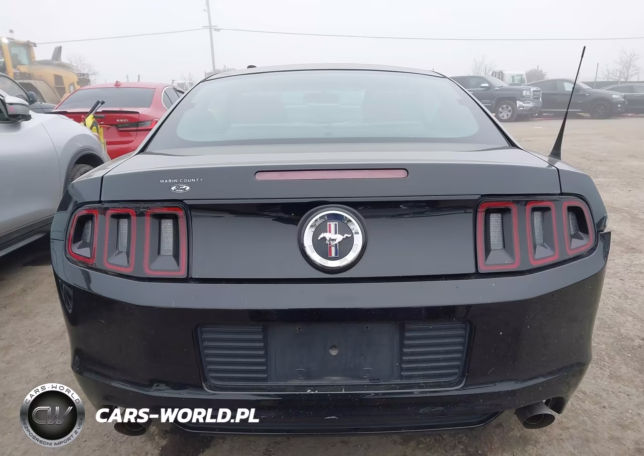 2014 Ford Mustang V6 VIN:1ZVBP8AM1E5333917 - 16