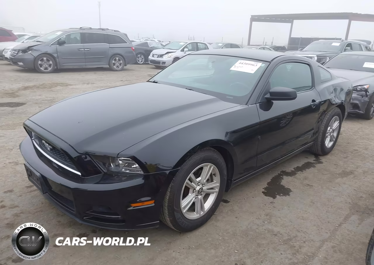 2014 Ford Mustang V6 VIN:1ZVBP8AM1E5333917 - 2