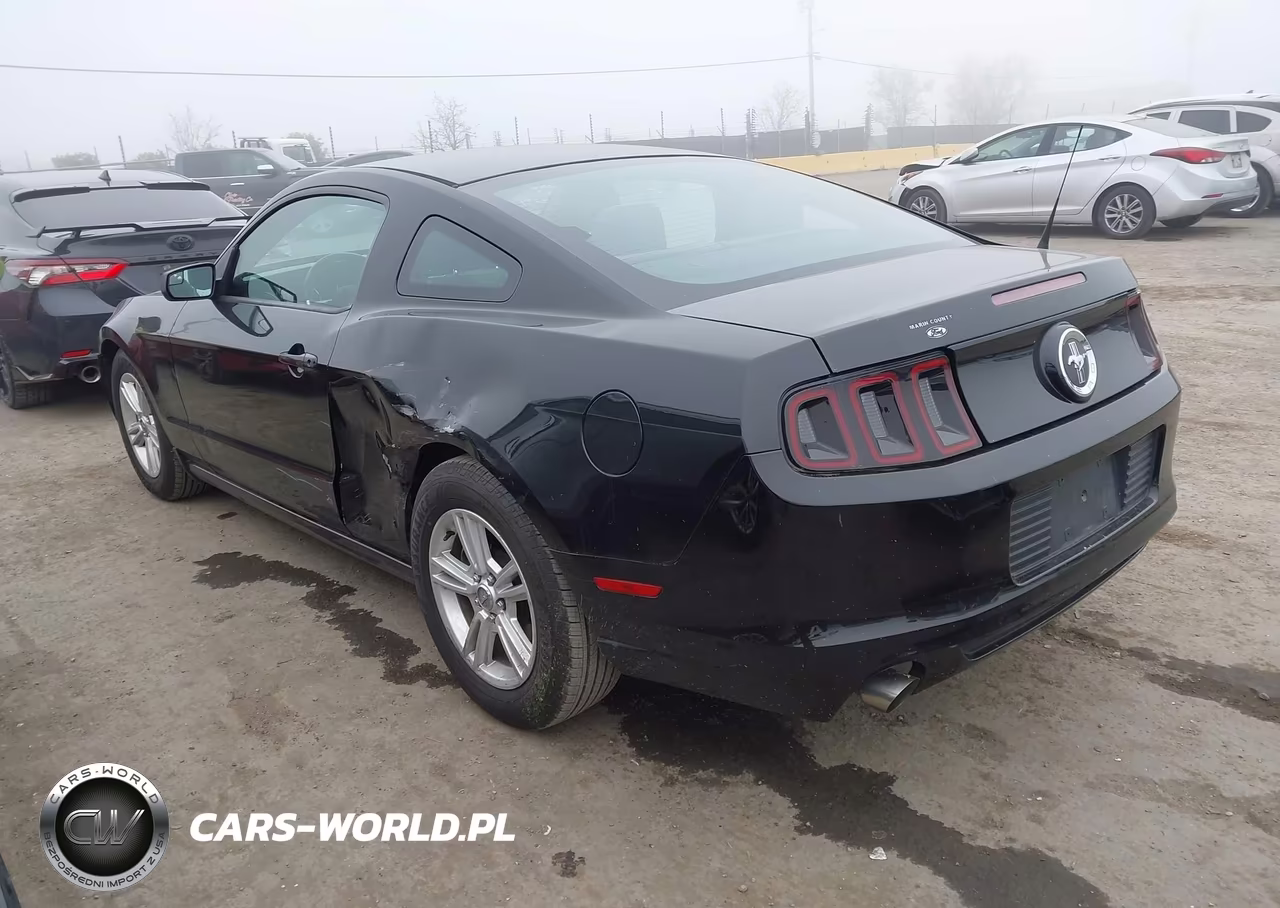 2014 Ford Mustang V6 VIN:1ZVBP8AM1E5333917 - 3