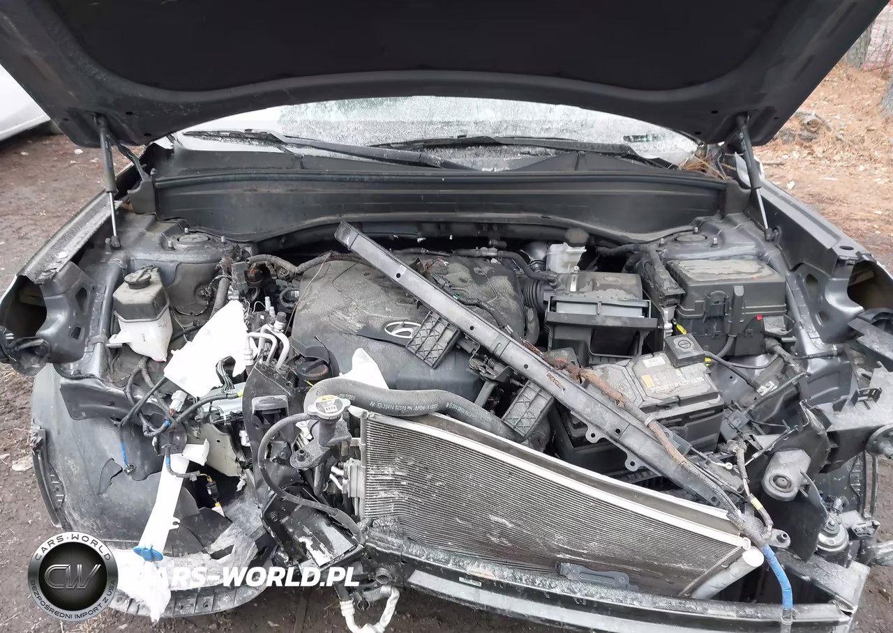 2021 Hyundai Palisade Sel VIN:KM8R34HE6MU286842 - 10