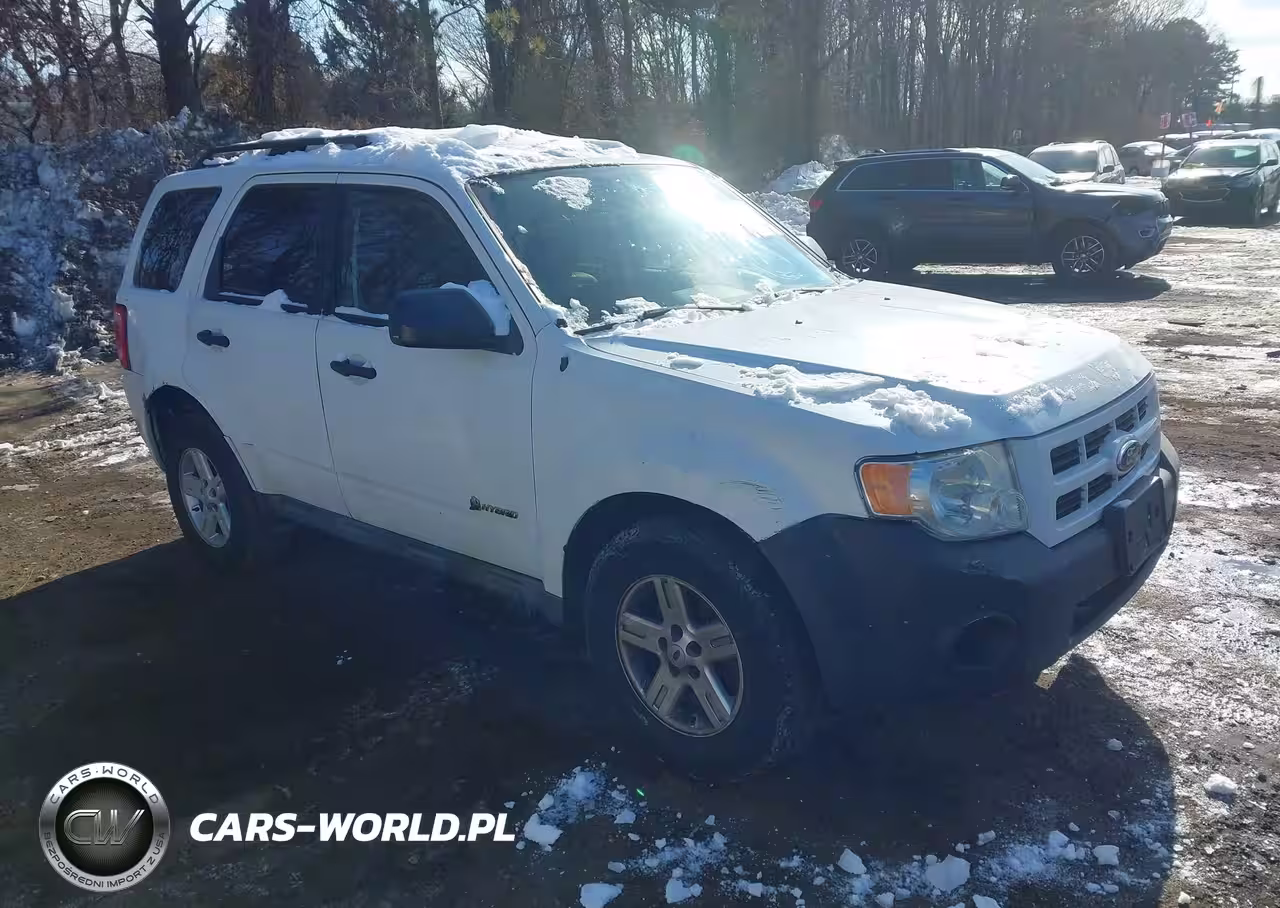 2010 Ford Escape Hybrid