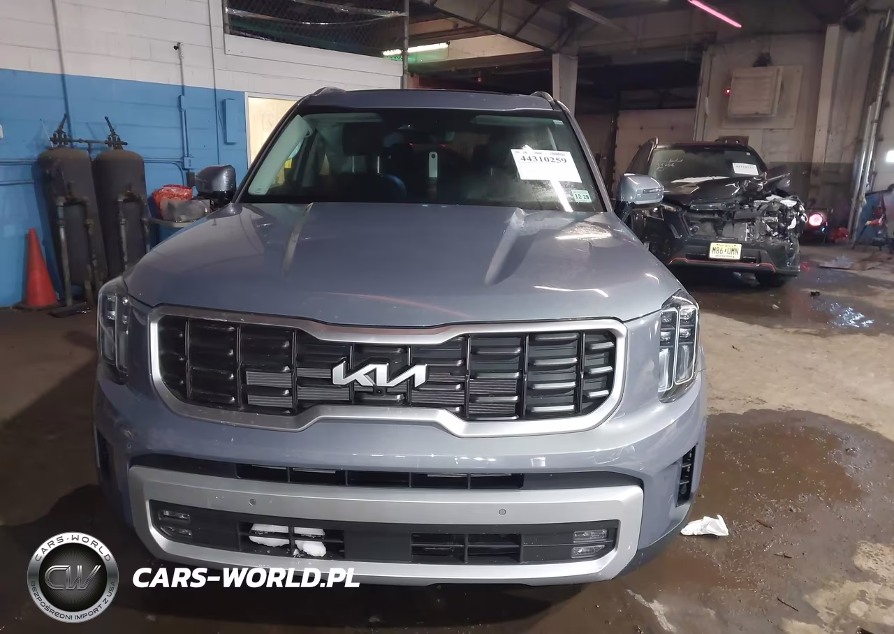 2025 Kia Telluride Sx Prestige VIN:5XYP5DGC2SG576595 - 12