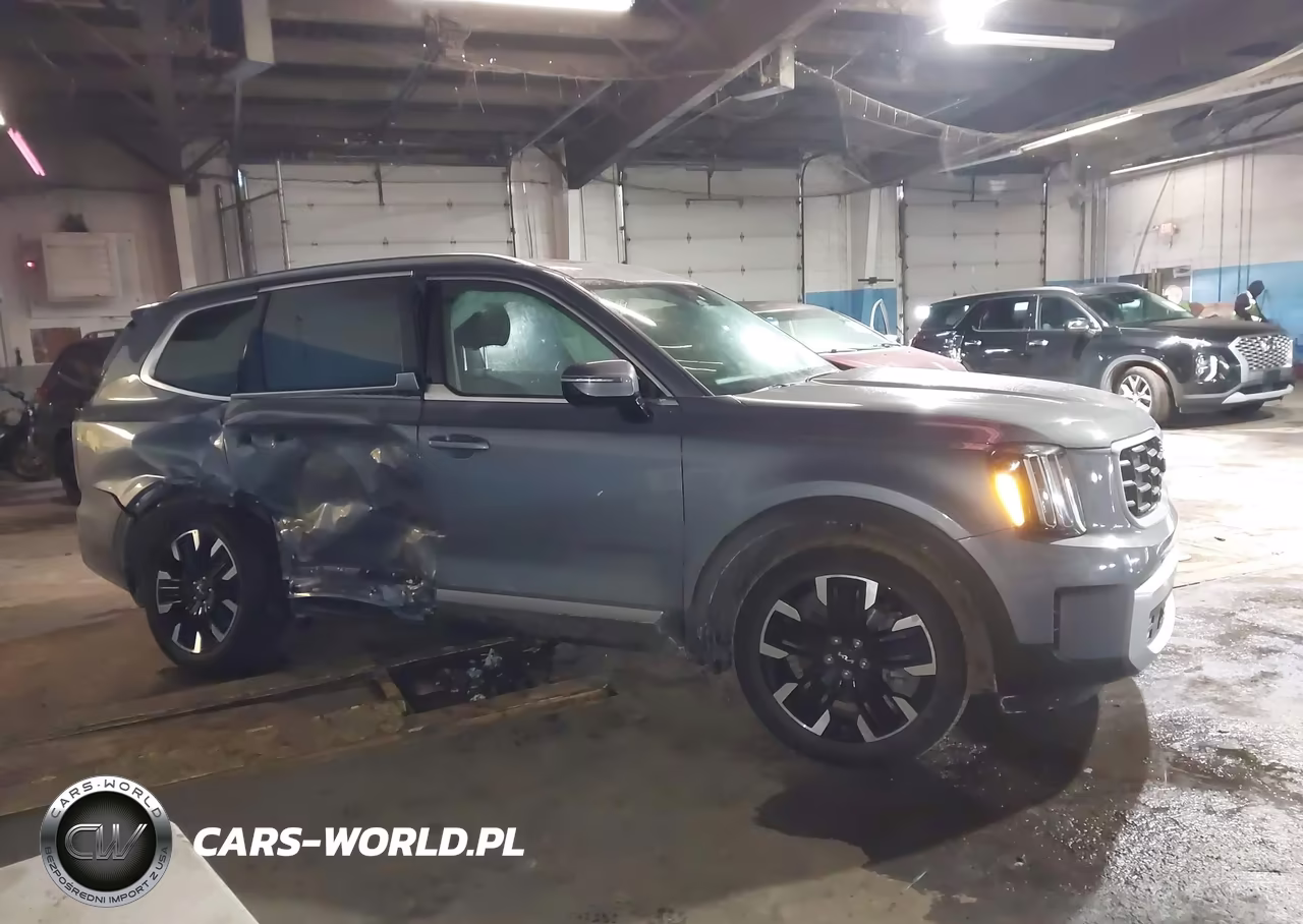 2025 Kia Telluride Sx Prestige VIN:5XYP5DGC2SG576595 - 13