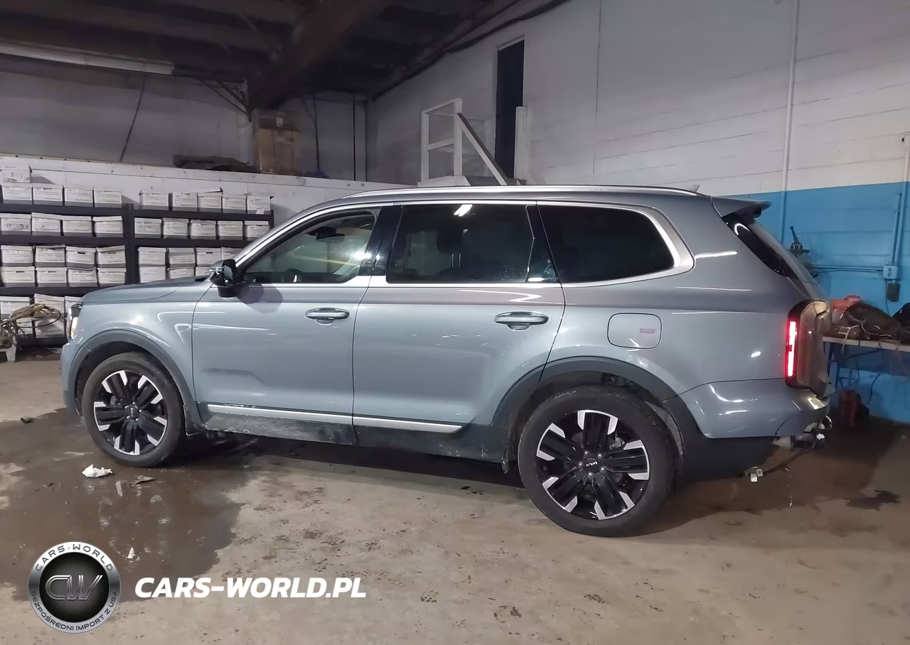 2025 Kia Telluride Sx Prestige VIN:5XYP5DGC2SG576595 - 14