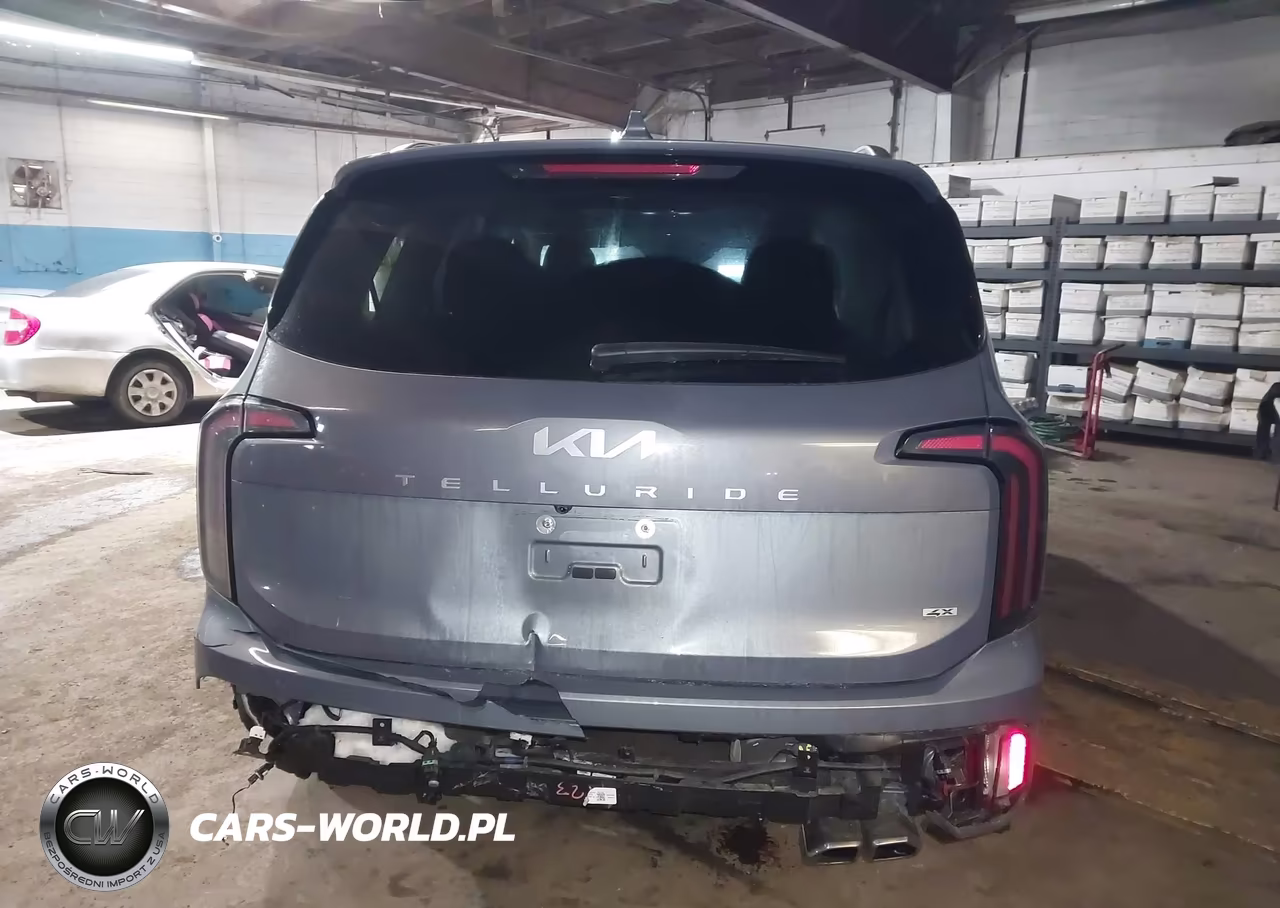 2025 Kia Telluride Sx Prestige VIN:5XYP5DGC2SG576595 - 16