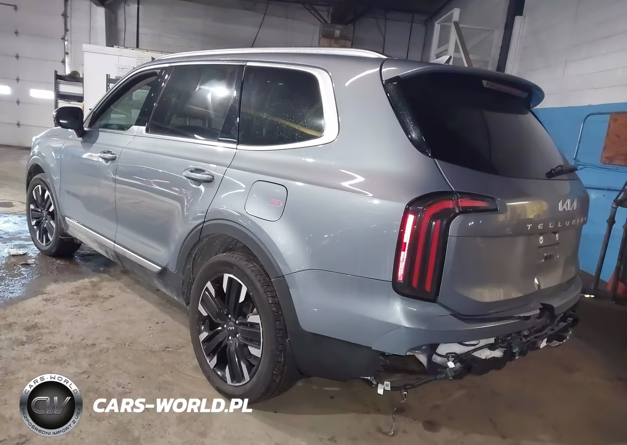 2025 Kia Telluride Sx Prestige VIN:5XYP5DGC2SG576595 - 3