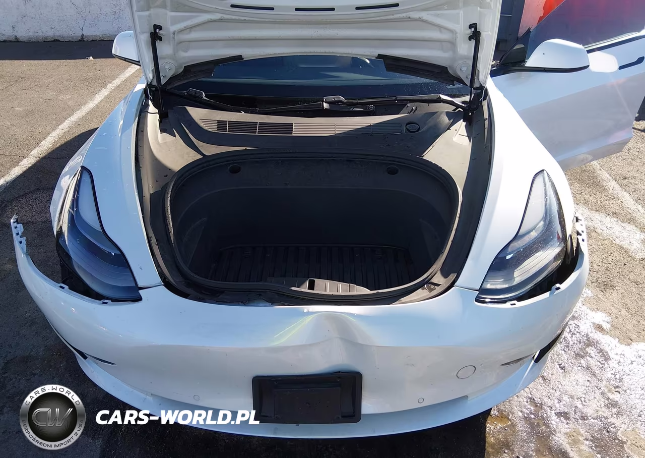 2021 Tesla Model 3 Standard Range Plus Rear-Wheel Drive VIN:5YJ3E1EA3MF921996 - 10
