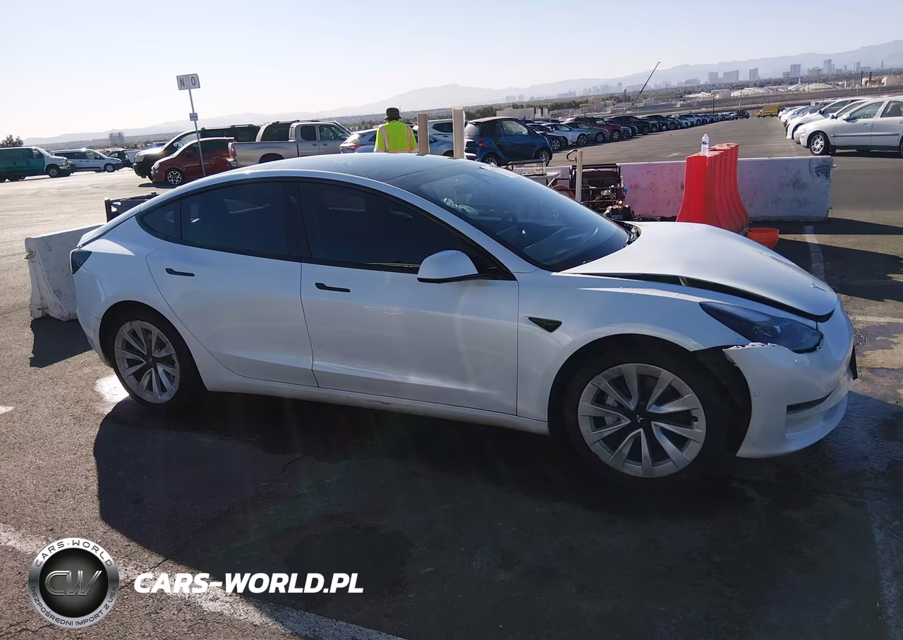 2021 Tesla Model 3 Standard Range Plus Rear-Wheel Drive VIN:5YJ3E1EA3MF921996 - 13