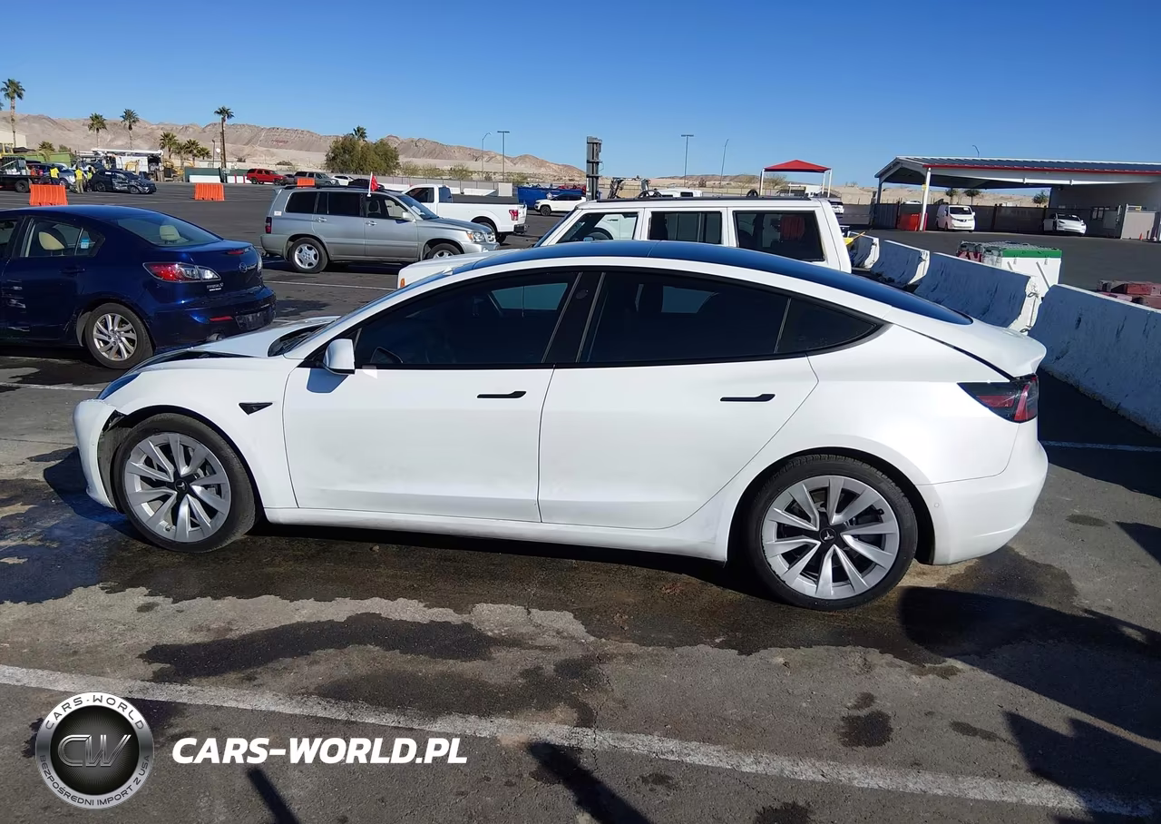 2021 Tesla Model 3 Standard Range Plus Rear-Wheel Drive VIN:5YJ3E1EA3MF921996 - 14