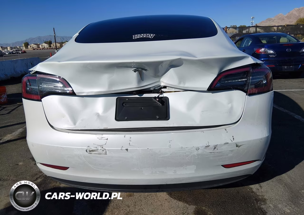 2021 Tesla Model 3 Standard Range Plus Rear-Wheel Drive VIN:5YJ3E1EA3MF921996 - 19
