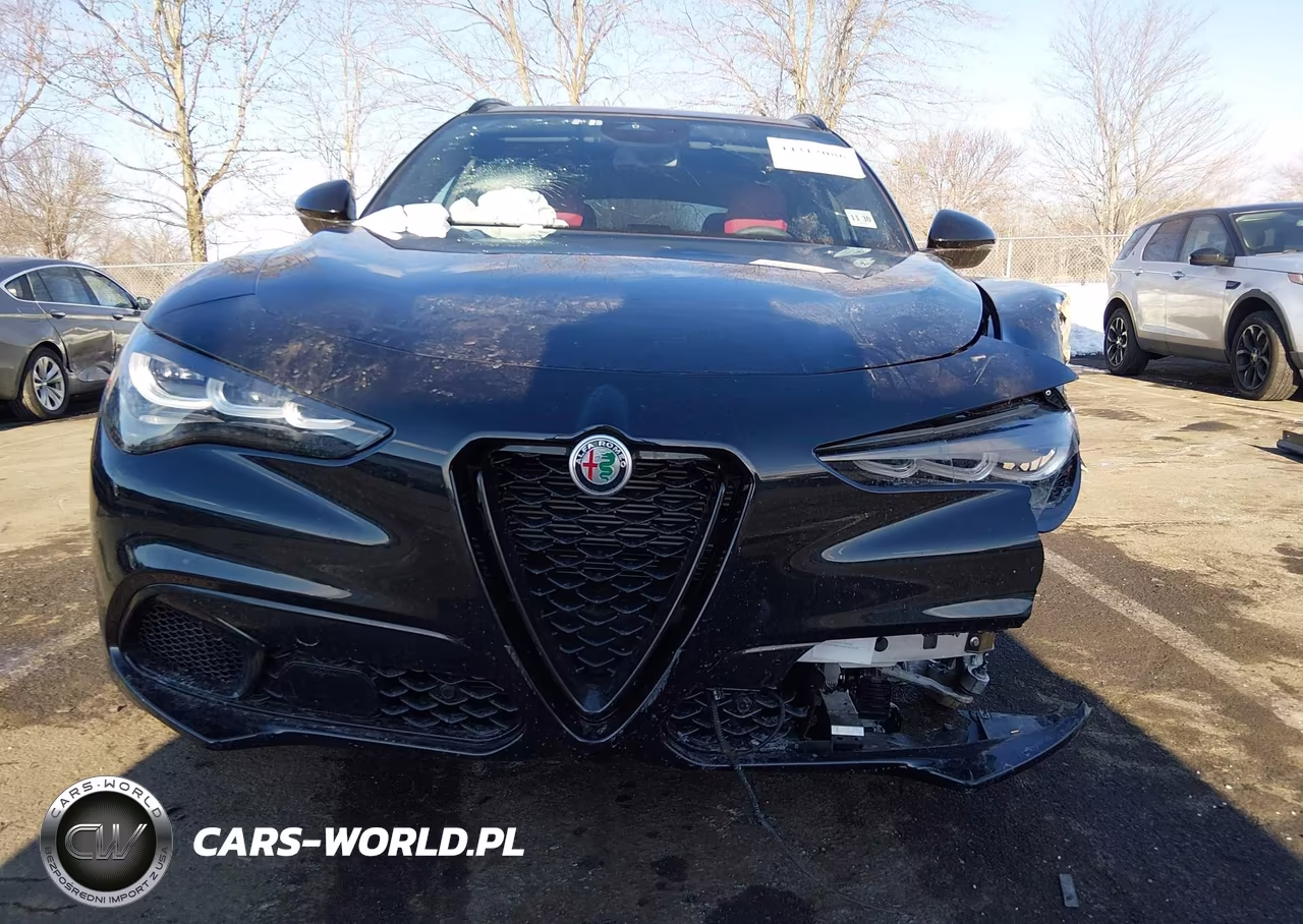 2025 Alfa Romeo Stelvio Sprint Awd VIN:ZASPAKAN1S7D95342 - 12