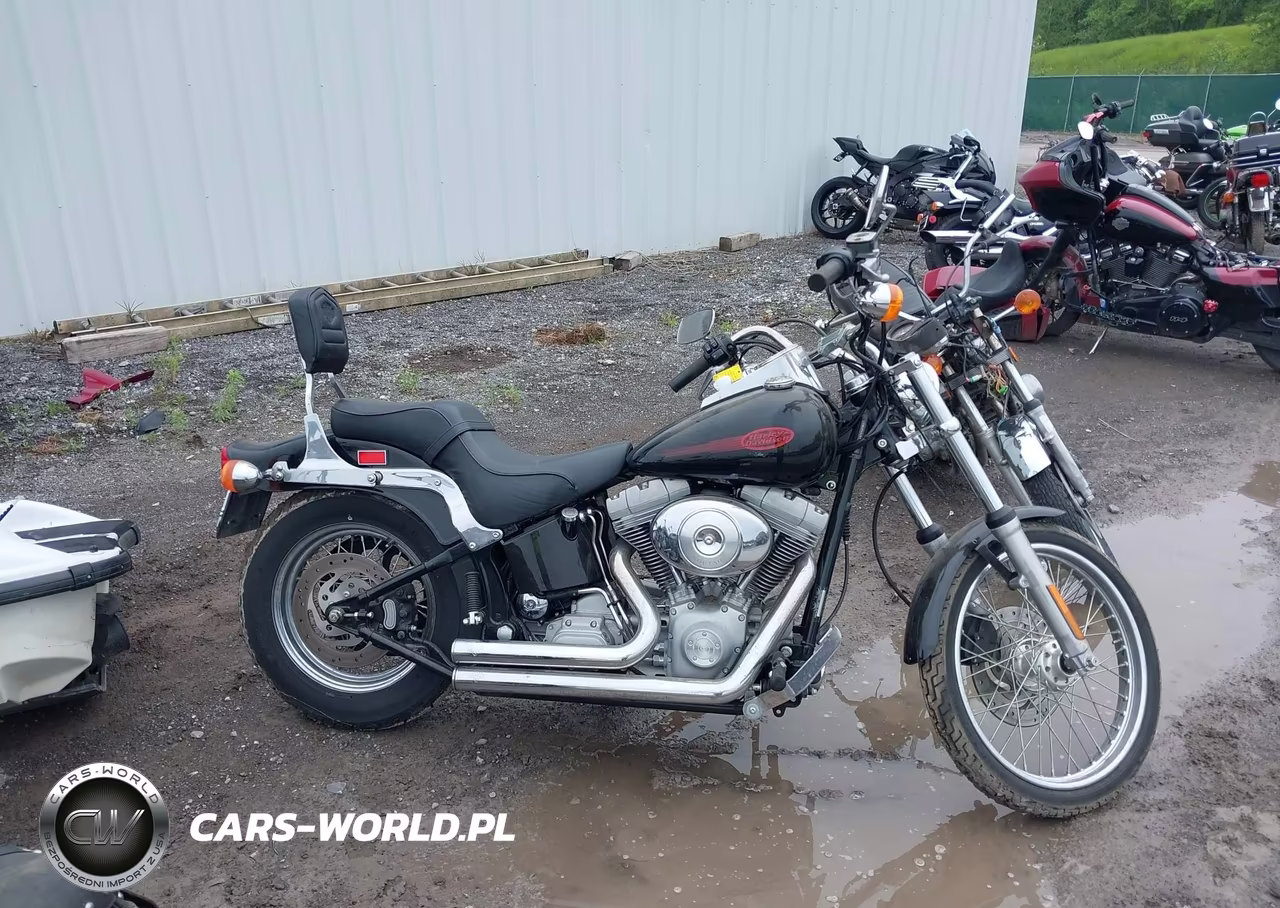 2001 Harley-Davidson Fxst VIN:1HD1BHY121Y011691 - 12