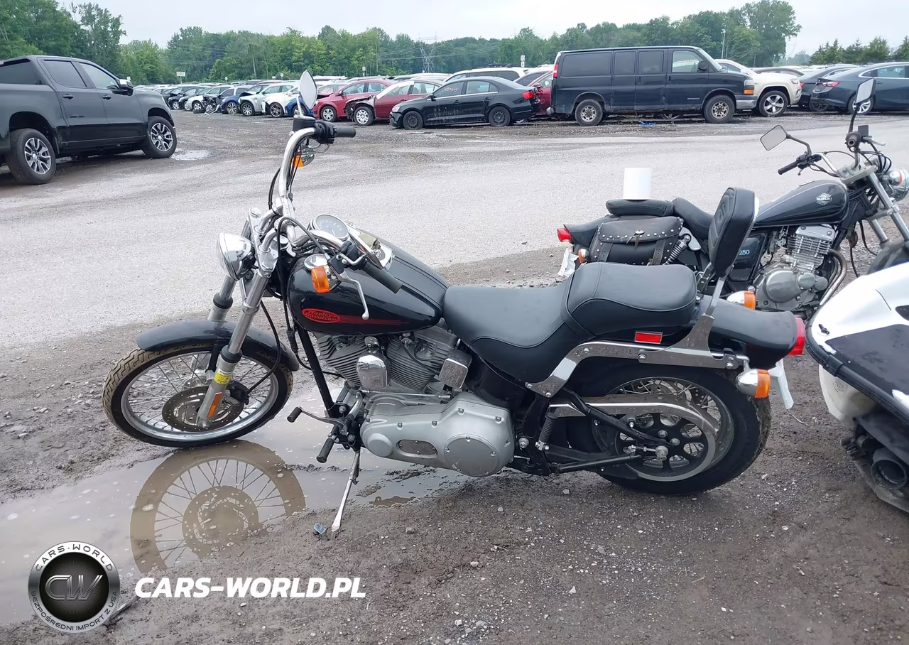 2001 Harley-Davidson Fxst VIN:1HD1BHY121Y011691 - 13