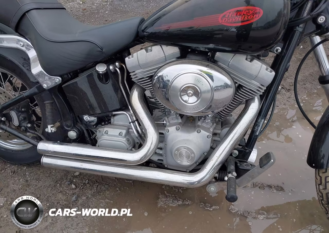2001 Harley-Davidson Fxst VIN:1HD1BHY121Y011691 - 8