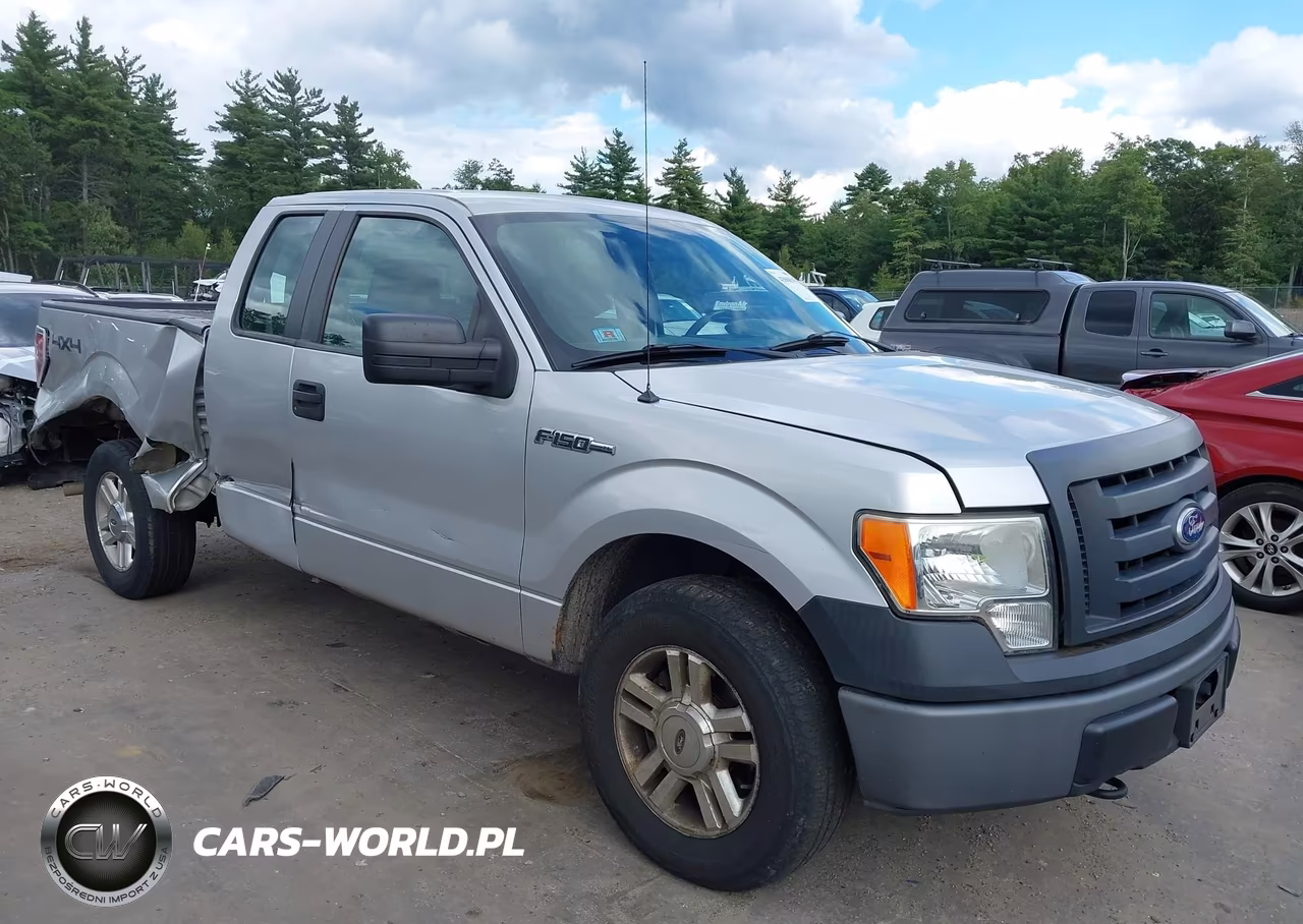 Główne zdjęcie 2010 Ford F-150 Stx-Xl