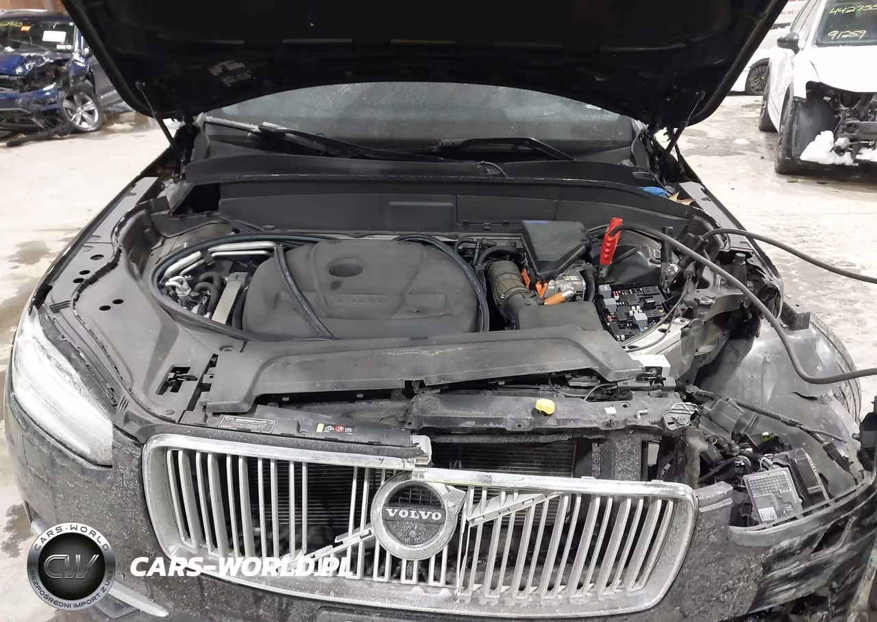 2017 Volvo Xc90 Hybrid T8 Inscription VIN:YV4BC0PL0H1107956 - 10