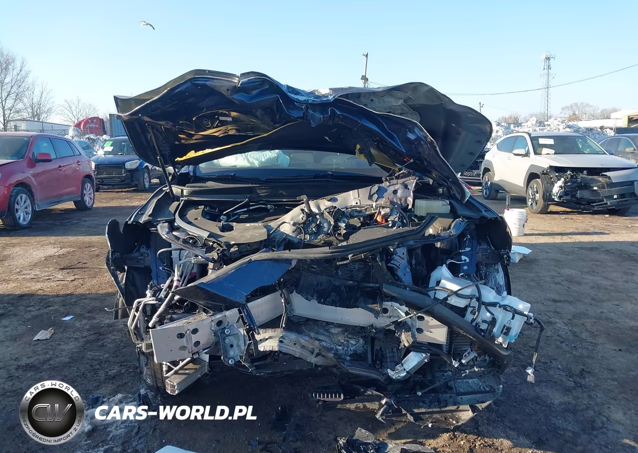 2025 Lexus Rx 450H+ Luxury VIN:JTJCJMGA6S2032360 - 11