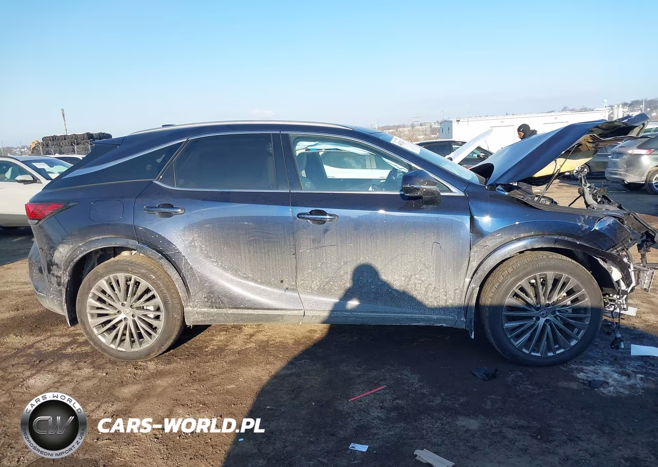 2025 Lexus Rx 450H+ Luxury VIN:JTJCJMGA6S2032360 - 12