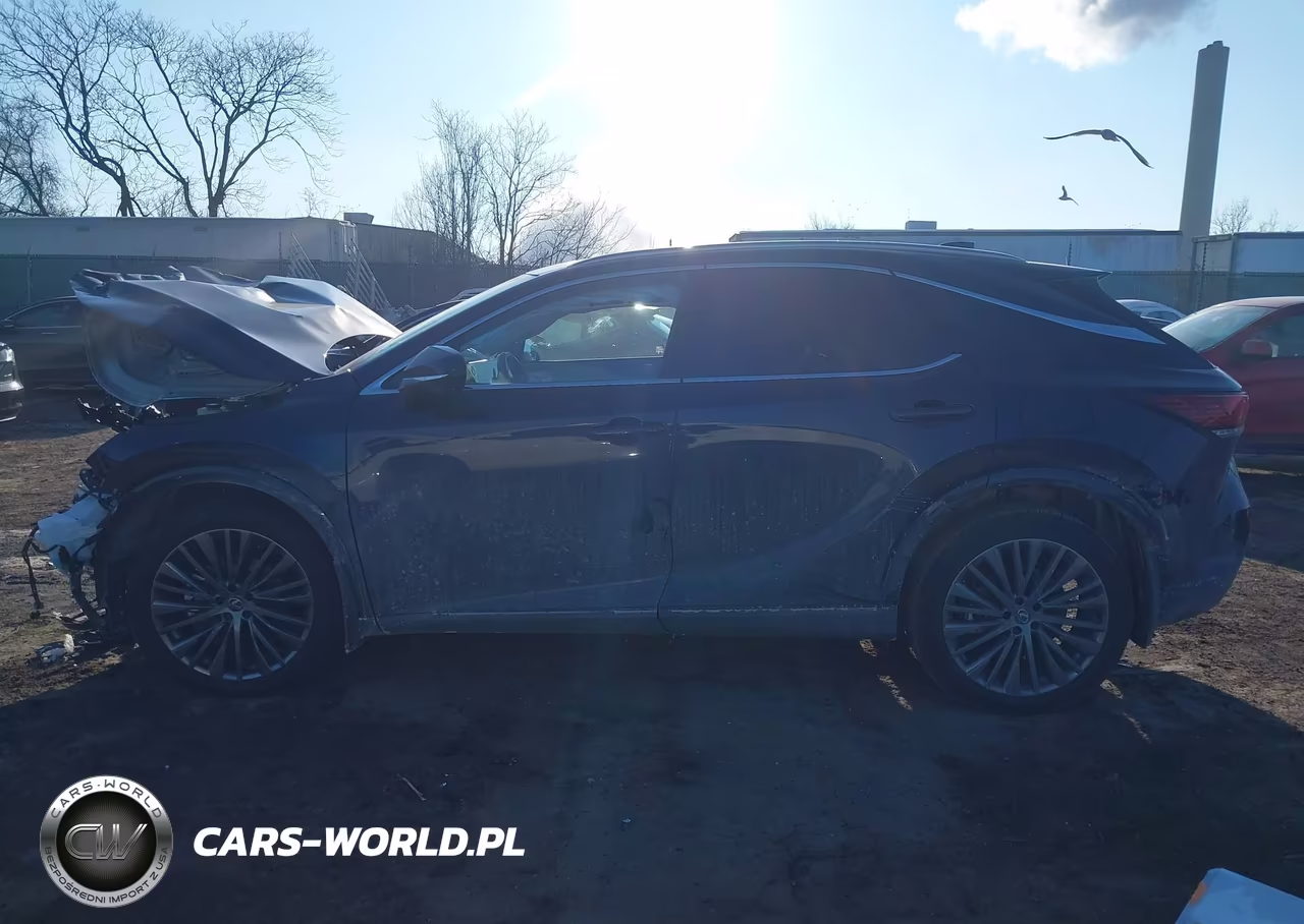 2025 Lexus Rx 450H+ Luxury VIN:JTJCJMGA6S2032360 - 13