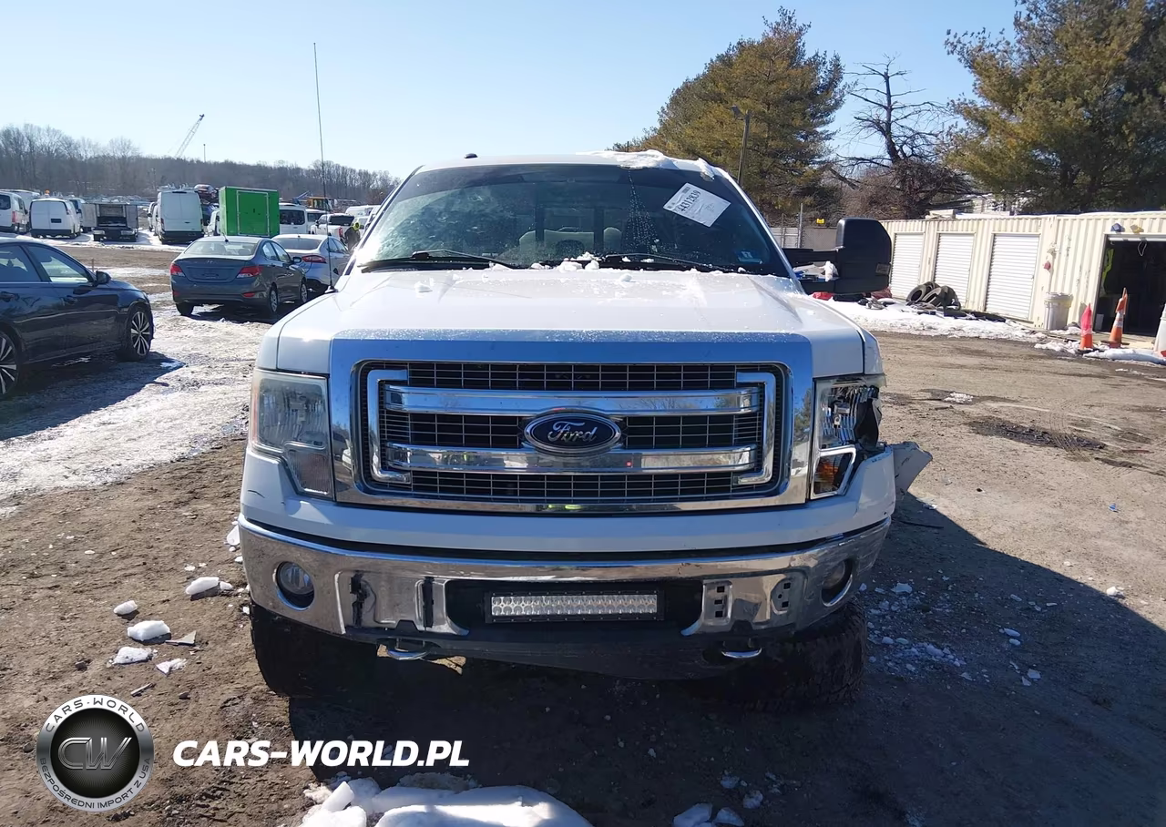 2014 Ford F-150 Xlt VIN:1FTFW1EF6EKG02098 - 12