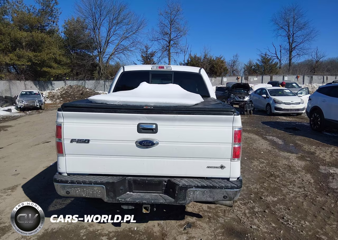 2014 Ford F-150 Xlt VIN:1FTFW1EF6EKG02098 - 16