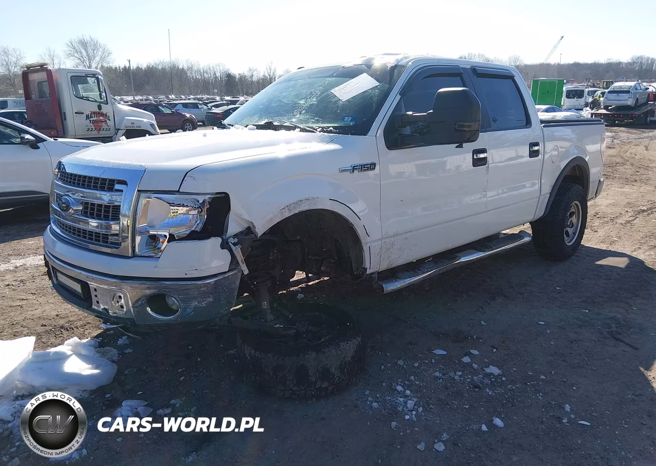 2014 Ford F-150 Xlt VIN:1FTFW1EF6EKG02098 - 2