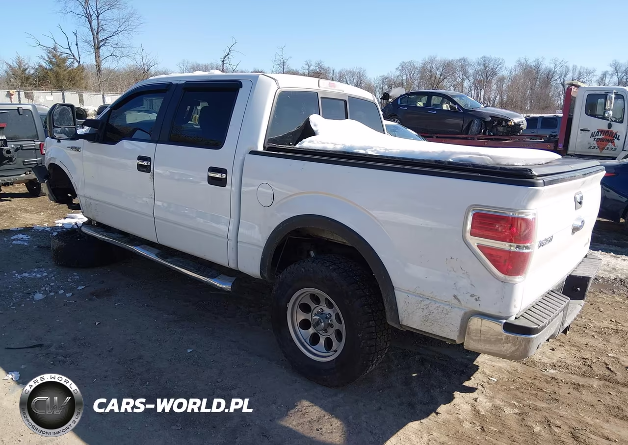 2014 Ford F-150 Xlt VIN:1FTFW1EF6EKG02098 - 3