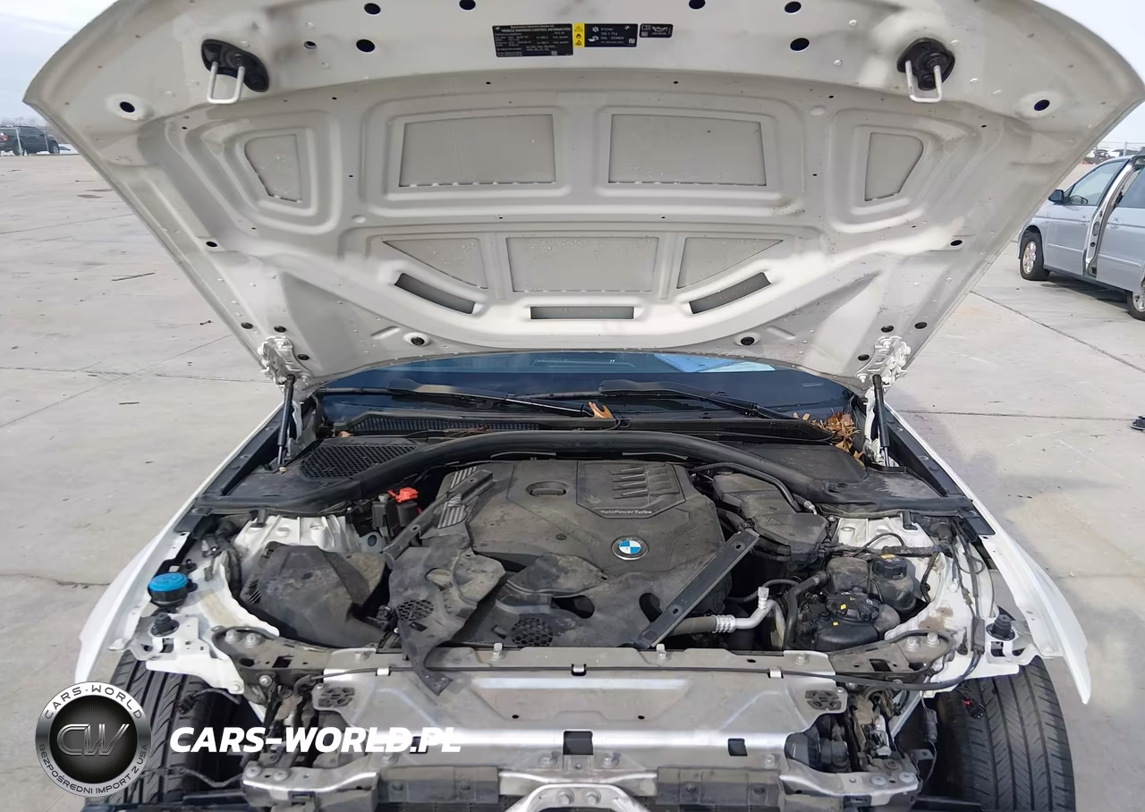 2019 BMW 330I VIN:3MW5R1J58K8B01496 - 10