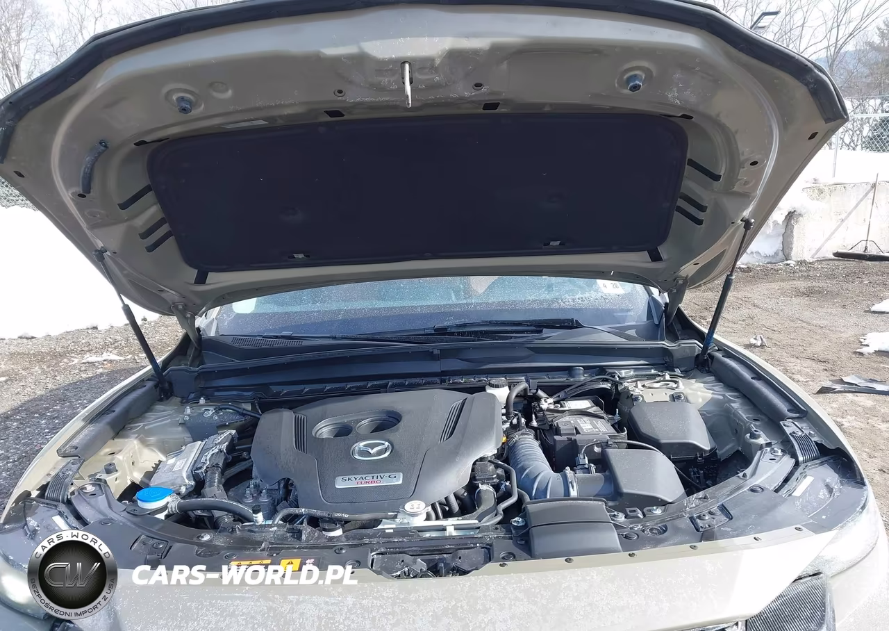 2023 Mazda Cx-50 2.5 Turbo VIN:7MMVABXY7PN140196 - 10