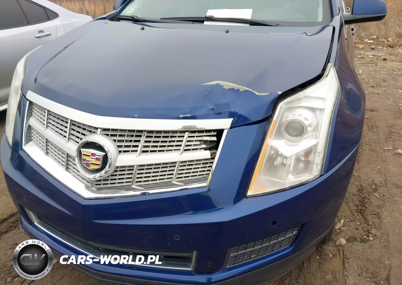 2012 Cadillac Srx Luxury Collection VIN:3GYFNAE31CS540758 - 6