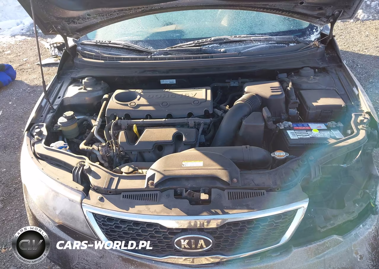2012 Kia Forte Ex VIN:KNAFU4A25C5594773 - 10